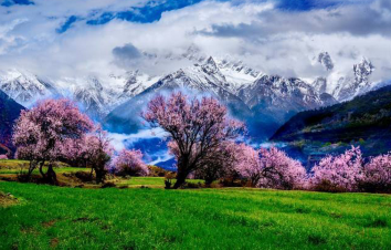 拉萨集合林芝桃花9日自驾游：林芝桃花-布达拉宫夜景-墨脱落地自驾9日-游推荐