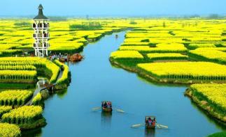 北京出發(fā)興化5日自駕游：李中水上森林公園、興化水中油菜花5日自駕自駕游