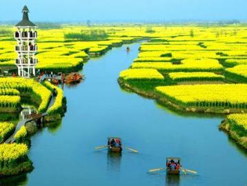北京出发兴化5日自驾游：李中水上森林公园、兴化水中油菜花5日自驾