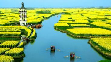 北京出发兴化5日自驾游：李中水上森林公园、兴化水中油菜花5日自驾-推荐