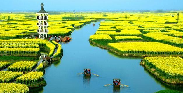 北京出发兴化5日自驾游：李中水上森林公园、兴化水中油菜花5日自驾