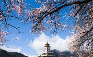 成都出發(fā)西藏桃花節(jié)14日自駕游：川藏線G318-布達拉宮-羊卓雍措-青海湖14日自駕游自駕游