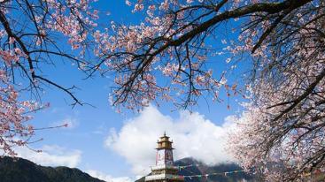 成都出发西藏桃花节14日自驾游：川藏线G318-布达拉宫-羊卓雍措-青海湖14日自驾游-推荐