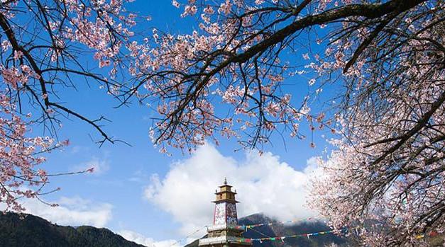 成都出发西藏桃花节14日自驾游：川藏线G318-布达拉宫-羊卓雍措-青海湖14日自驾游