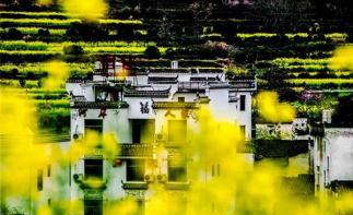 江苏出发江西3日自驾游：婺源油菜花-瑶里古镇-江岭赏花3日自驾游自驾游