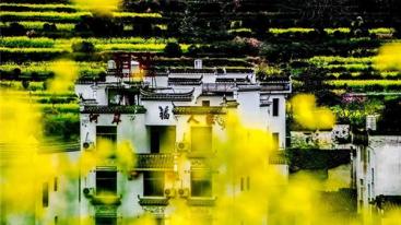 江苏出发江西3日自驾游：婺源油菜花-瑶里古镇-江岭赏花3日自驾游-推荐