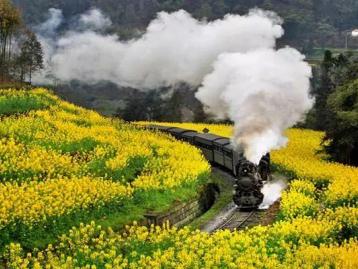 重庆出发川南2日自驾游：中国诺亚方舟罗城古镇，开往春天的嘉阳小火车2日自驾之旅