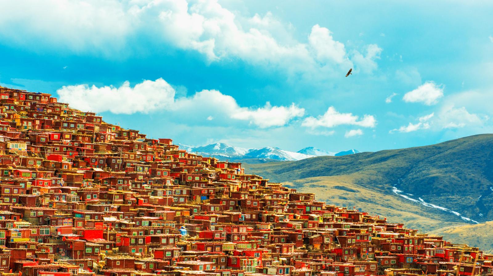 成都出发11日川藏线拼车包车游：新都桥摄影-色达-亚丁-波密11日川藏线包车游自驾游