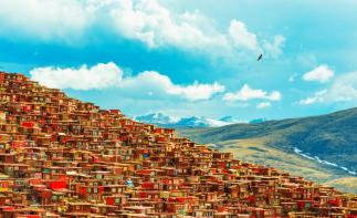 成都出發(fā)11日川藏線拼車包車游：新都橋攝影-色達(dá)-亞丁-波密11日川藏線包車游自駕游