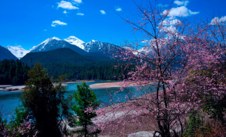 成都出發(fā)林芝拉薩9日包車游：林芝桃花溝-羊卓雍措-雅魯藏布江大峽谷9日拼車游自駕游