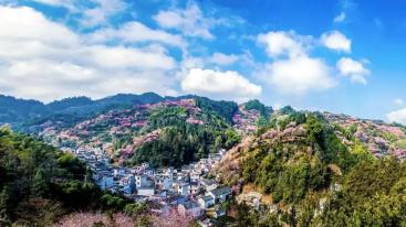 武汉出发湖北周边自驾游：徽州古城-歙县卖花渔村-屯溪秀里3日赏花自驾游-推荐