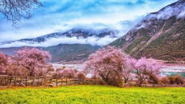武汉出发西藏20日自驾游：金川梨花-林芝桃花-川藏南北线穿越20日自驾-推荐