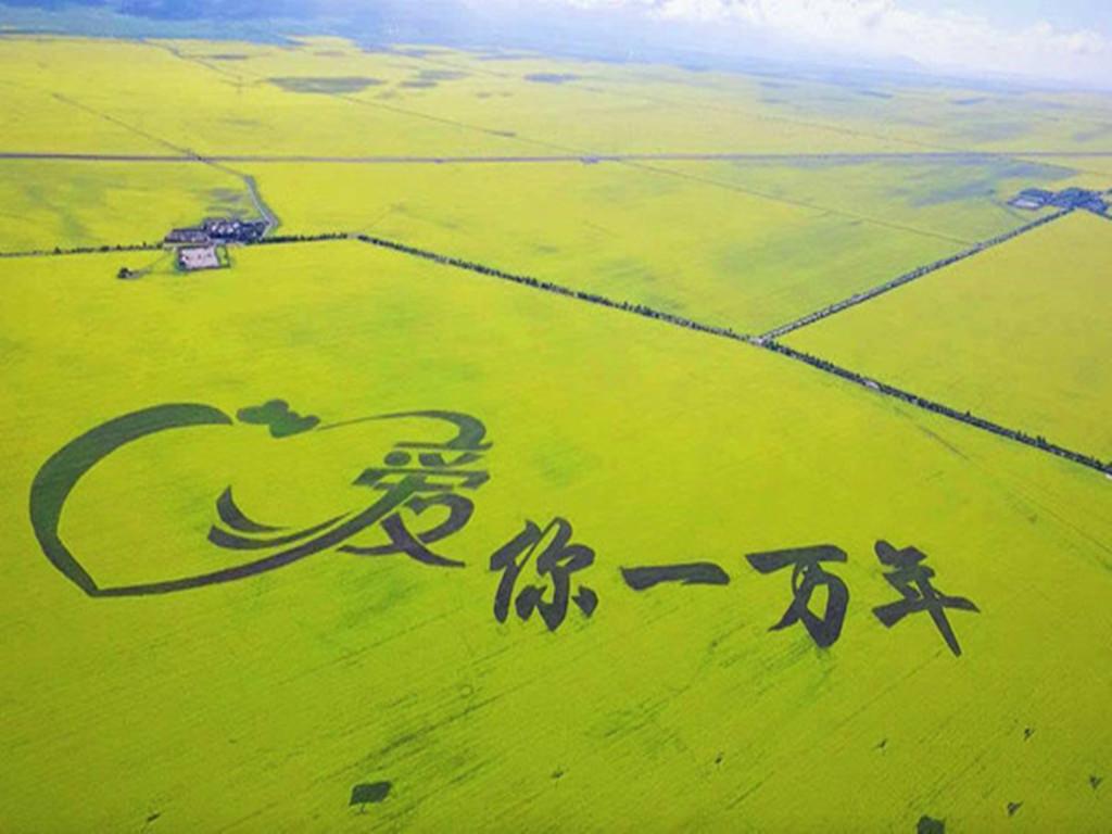 江苏出发青海12日自驾游：青海湖-门源油菜花-黄河三峡-茶卡盐湖12日全程穿越自驾游自驾游