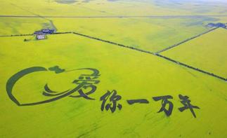 江苏出发青海12日自驾游：青海湖-门源油菜花-黄河三峡-茶卡盐湖12日全程穿越自驾游自驾游