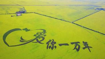 江苏出发青海12日自驾游：青海湖-门源油菜花-黄河三峡-茶卡盐湖12日全程穿越自驾游-推荐