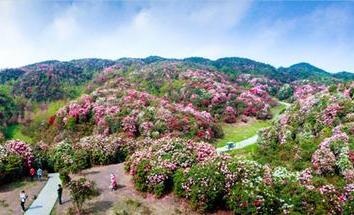 北京出发西安贵州广西13日自驾游：百里杜鹃-黄果树瀑布-龙脊梯田自驾游-游推荐