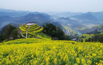 青岛到宣城6日自驾游：千岛湖+石潭村+皖南天路+尚村+家朋油菜花天上人间之旅-游推荐