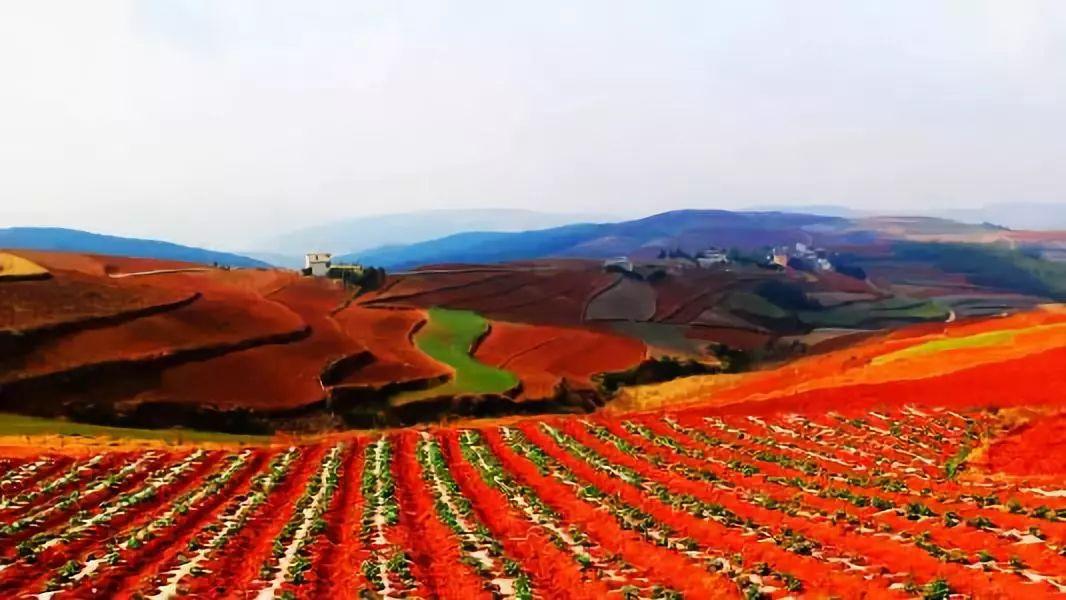 南宁集合广西云南9日自驾游：德天大瀑布-普者黑-抚仙罗平油菜花9日山水自驾自驾游