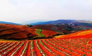 南寧集合廣西云南9日自駕游：德天大瀑布-普者黑-撫仙羅平油菜花9日山水自駕自駕游