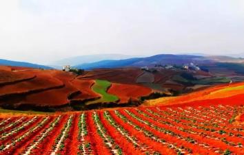 南寧集合廣西云南9日自駕游：德天大瀑布-普者黑-撫仙羅平油菜花9日山水自駕-游推薦