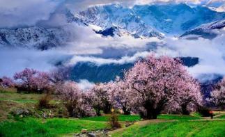 成都出發(fā)拉薩8日自駕游：新都橋-然烏湖-林芝-拉薩最美景觀大道8日自駕游自駕游