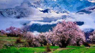 成都出发拉萨8日自驾游：新都桥-然乌湖-林芝-拉萨最美景观大道8日自驾游-推荐