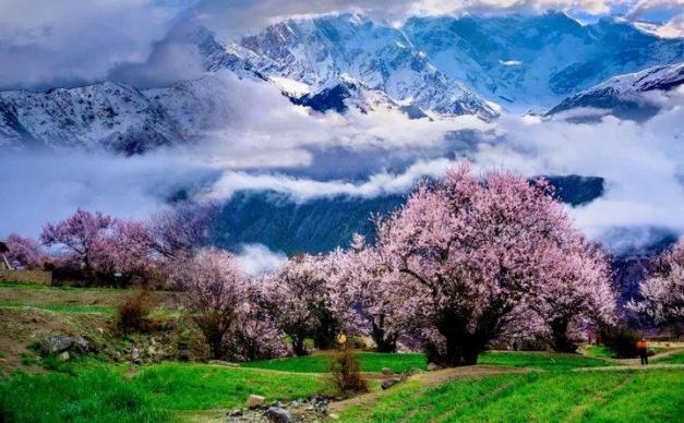 成都出发拉萨8日自驾游：新都桥-然乌湖-林芝-拉萨最美景观大道8日自驾游