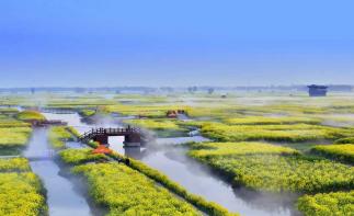 北京出發(fā)江蘇興化4日自駕：垛田水上油菜花-黿頭渚櫻花-臺兒莊古城4日自駕游自駕游