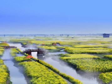 北京出发江苏兴化4日自驾：垛田水上油菜花-鼋头渚樱花-台儿庄古城4日自驾游