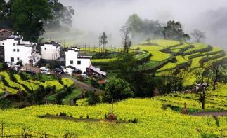 九江集合4日婺源自駕游：瑤里古鎮(zhèn)-江嶺梯田-屯溪老街-婺源油菜花4日落地自駕游自駕游