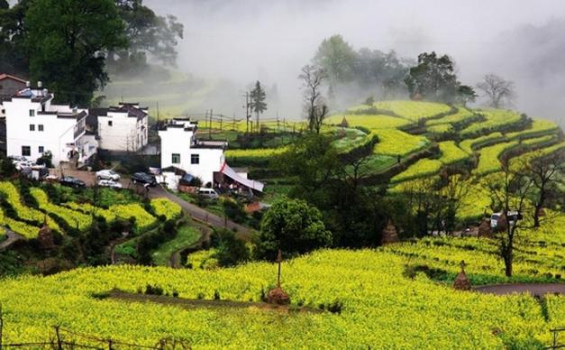九江集合4日婺源自驾游：瑶里古镇-江岭梯田-屯溪老街-婺源油菜花4日落地自驾游