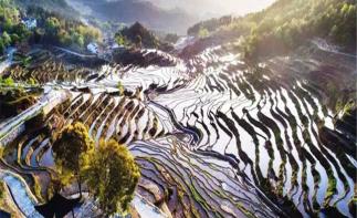 湖北武汉出发周边自驾游：雾云山梯田-东坡赤壁1日踏青自驾游自驾游