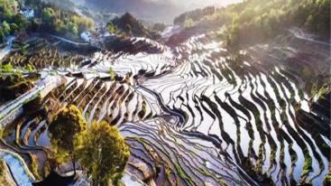 湖北武汉出发周边自驾游：雾云山梯田-东坡赤壁1日踏青自驾游-推荐