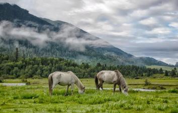 成都出发西藏16日自驾游：川藏线318+稻城亚丁+拉萨羊湖+青海湖+茶卡盐湖16日川进青出自驾游-游推荐