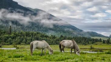 成都出发西藏16日自驾游：川藏线318+稻城亚丁+拉萨羊湖+青海湖+茶卡盐湖16日川进青出自驾游-推荐