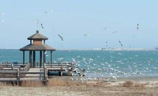 北京周边自驾游：河北唐山抗震纪念馆-菩提岛-运河唐人街2日自驾游自驾游