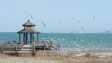 北京周边自驾游：河北唐山抗震纪念馆-菩提岛-运河唐人街2日自驾游-推荐