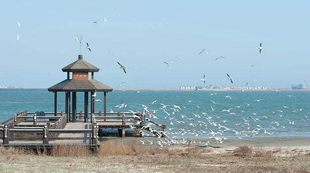 北京周边自驾游：河北唐山抗震纪念馆-菩提岛-运河唐人街2日自驾游