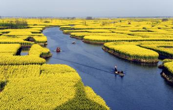 山东出发到江南5日游：扬州、桃花潭、采石矶、响水涧5日踏春自驾游-游推荐