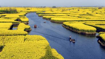 山东出发到江南5日游：扬州、桃花潭、采石矶、响水涧5日踏春自驾游-推荐