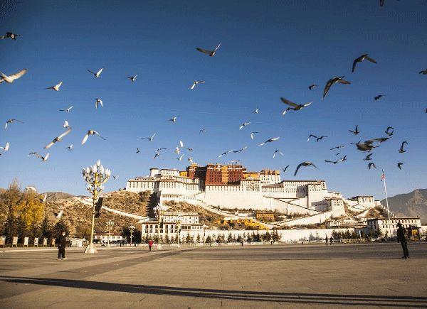 成都出发西藏15日自驾游:稻城亚丁-布达拉宫-茶卡盐湖西藏15日自驾游自驾游