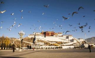 成都出發(fā)西藏15日自駕游:稻城亞丁-布達(dá)拉宮-茶卡鹽湖西藏15日自駕游自駕游