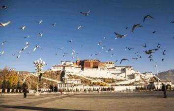 成都出发西藏15日自驾游:稻城亚丁-布达拉宫-茶卡盐湖西藏15日自驾游-游推荐