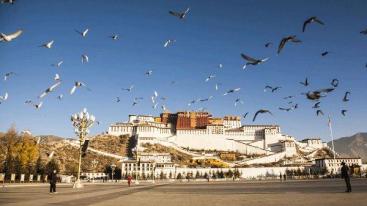 成都出发西藏15日自驾游:稻城亚丁-布达拉宫-茶卡盐湖西藏15日自驾游-推荐