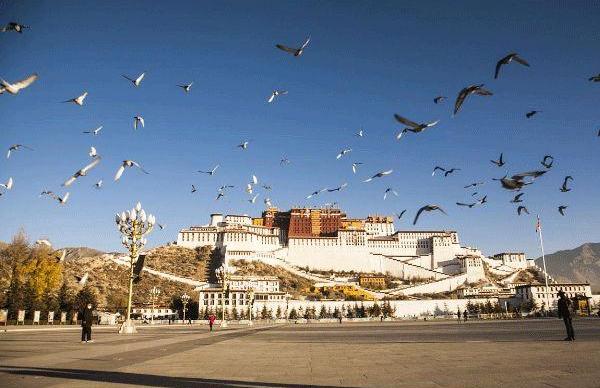 成都出发西藏15日自驾游:稻城亚丁-布达拉宫-茶卡盐湖西藏15日自驾游