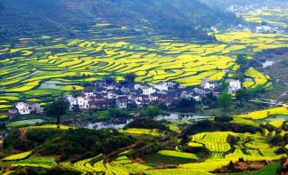 广东出发中国最美乡村江西婺源-国家地质公园三清山-瓷都景德镇-红色故都瑞金6天休闲自驾游自驾游