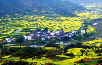 广东出发中国最美乡村江西婺源-国家地质公园三清山-瓷都景德镇-红色故都瑞金6天休闲自驾游-游推荐