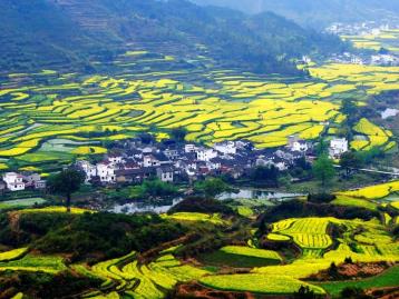广东出发中国最美乡村江西婺源-国家地质公园三清山-瓷都景德镇-红色故都瑞金6天休闲自驾游
