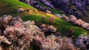 新疆乌鲁木齐集合8日伊犁自驾游：安集海大峡-赛里木湖-博斯腾湖-伊犁杏花沟8日环线伊犁-推荐