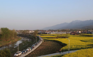 西安出發(fā)2日陜西周邊自駕游：漢陰油菜花-鳳堰古梯田2日采茶賞花自駕游自駕游